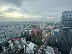 Skysuites@Anson (D2), Apartment #612450581
